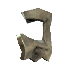 Fichier:Fragment de crâne (Fallout 76).png