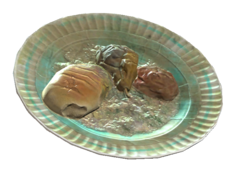 Fichier:Moldy food.png