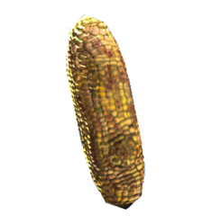 Fichier:Fresh corn.png