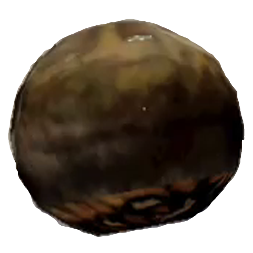 Fichier:FO76 Omelette de radcrapaud.png