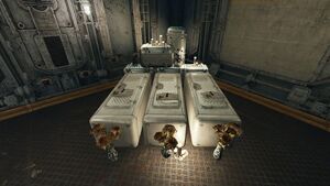 Abri 81 secret - Tombes improvisées.jpg