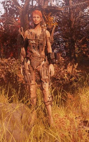 Armure en bois F76.jpg
