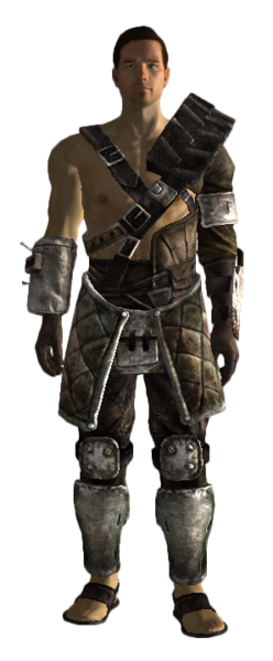 Fichier:Armure tribal de raid.png
