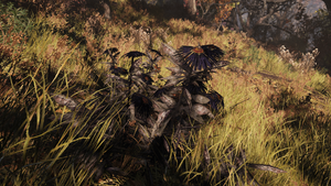 Aster (Fallout 76).png