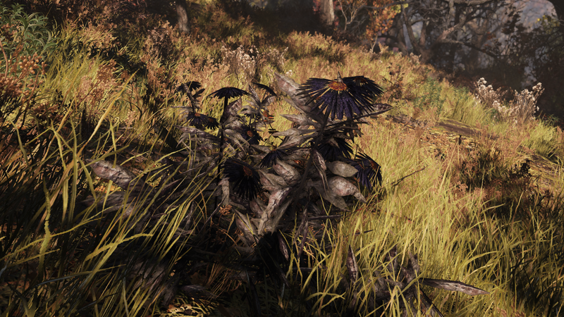 Fichier:Aster (Fallout 76).png