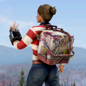 Atx entm skin backpack cooler hazmat c2.png