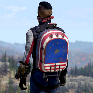 Atx entm skin backpack hardcase july4th c1.png