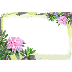 Atx photomode frame florarhododendron l.png
