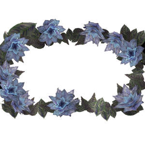 Atx photomode frame florasootflower l.png