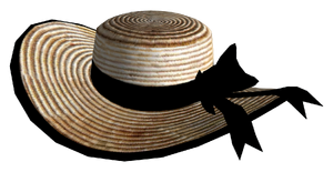 Bonnet de Vikki.png