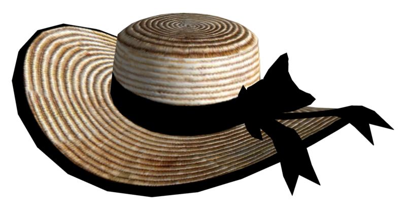 Fichier:Bonnet de Vikki.png