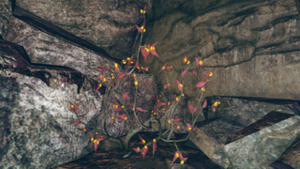 Buisson de baies stellaires (Fallout 76).png