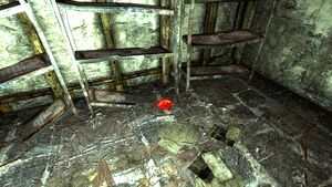 CA Special Ops Training Manual SE basement.jpg