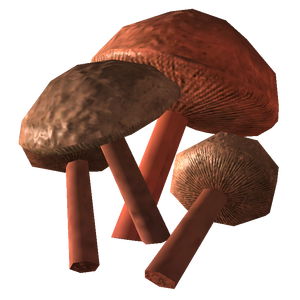 Champignon de grotte.png