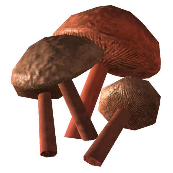 Fichier:Champignon de grotte.png