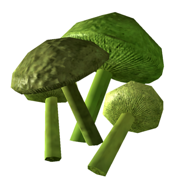 Fichier:Champignon mutant.png
