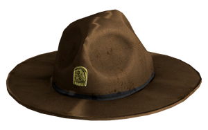 Chapeau de Ranger.png
