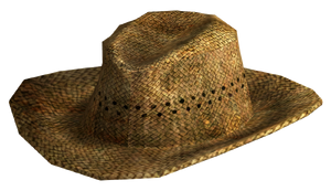 Chapeau de bouvier.png
