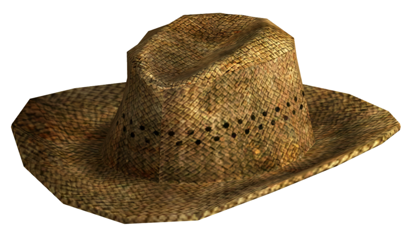 Fichier:Chapeau de bouvier.png