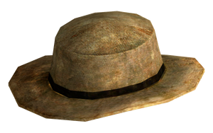 Chapeau de cowboy en cuir brut.png