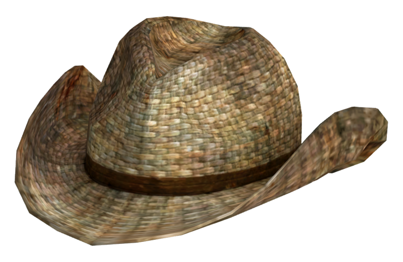 Fichier:Chapeau de cowboy en rotin.png