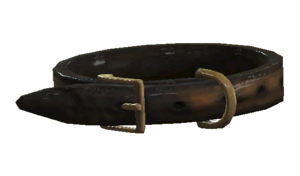 Dog collar.png