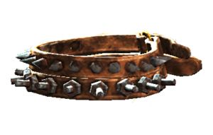 Double dog collar.png