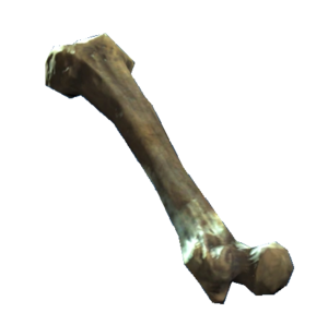 Fémur.png
