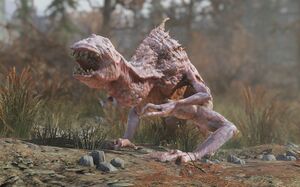 F076 Snallygaster 02.jpg