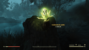 F76-Plante des marais-001.png
