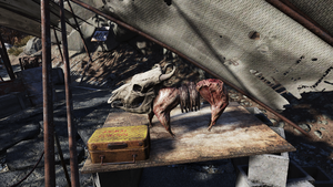 F76 Art - Chien Cour des miracles.png
