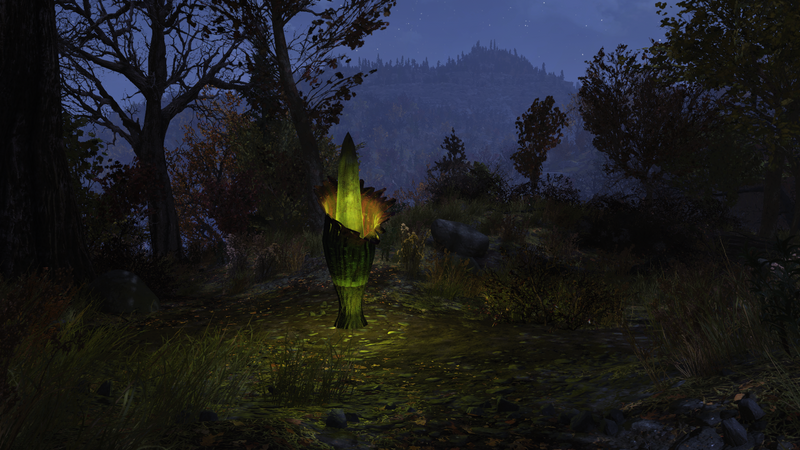 Fichier:F76 Arum titan - I2 IG.png