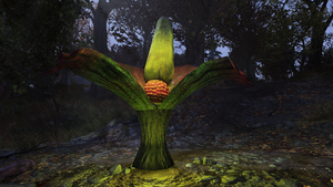 F76 Arum titan - I3 IG.png