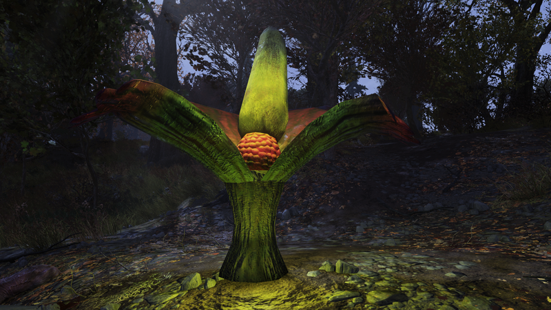 Fichier:F76 Arum titan - I3 IG.png