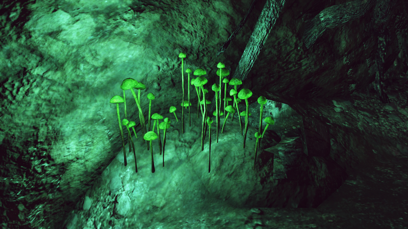 Fichier:F76 Champignon luminescent IG.png