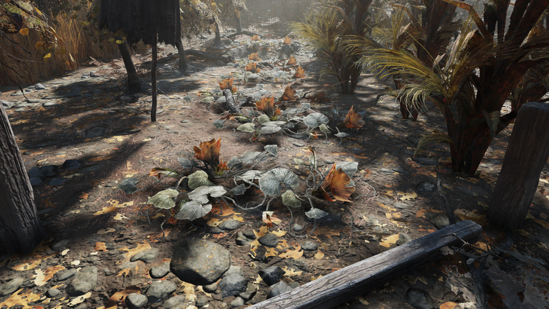 Fichier:F76 Fleur de courge IG.png