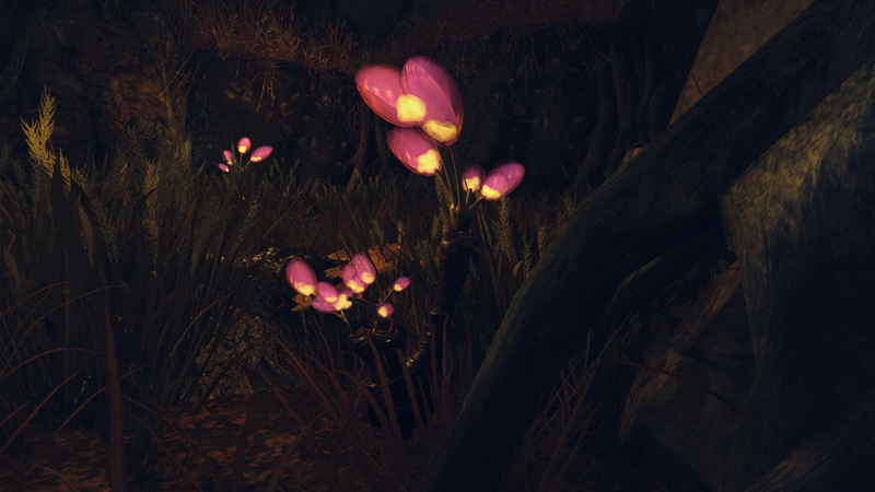 Fichier:F76 Fleur de kaléidopore - 01 IG.png