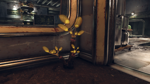 F76 Fleur de kaléidopore - 02 IG.png