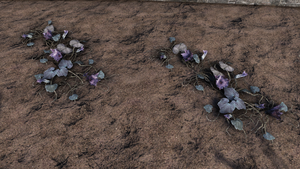 F76 Fleur de melon IG.png