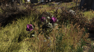 F76 Fleur de rhododendron IG.png