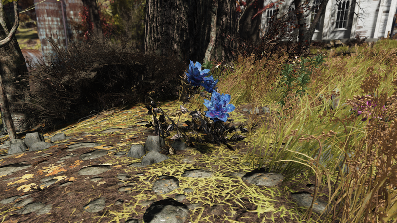 Fichier:F76 Fleur de suie IG.png