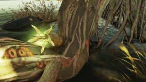 F76 Floraison de lierre IG.png