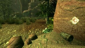 FNVHH Angel Cave - cache de survie.jpg