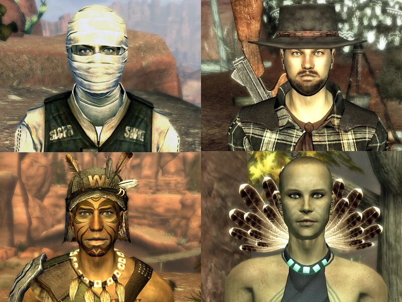 Fichier:FNVHH Chaos à Zion.jpg