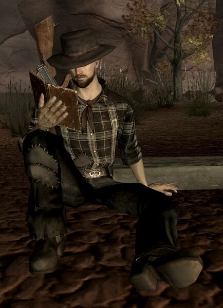 Fichier:FNV Écritures, Daniel.jpg
