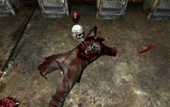 Cadavre particulier