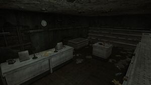 FNV Bison Steve boutique.jpg