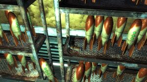 FNV Boutique Dino Bite stockage Ce Flingue.jpg