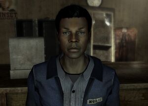 FNV Boxcars.jpg