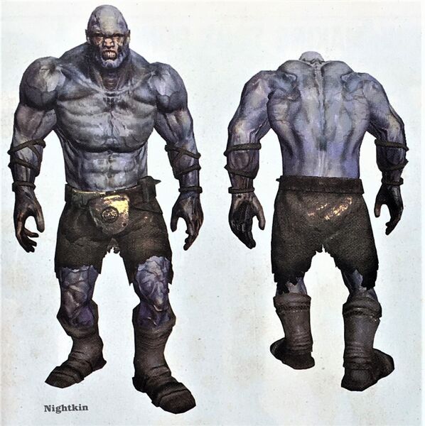Fichier:FNV Collect Edition Nocturne.jpg